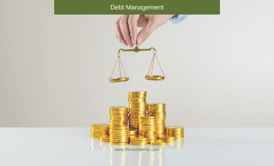 debt management vs debt settlement